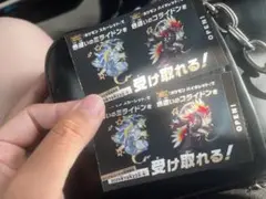 ポケモン 色違い ミライドン コライドンチラシ2枚