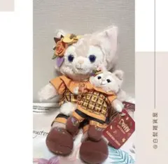 【販売終了商品】香港ディズニー限定正規品　秋シリーズ　リーナベル　2点セット