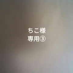 ちこ様専用③