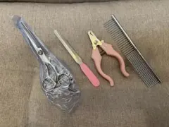 Item thumbnail for item ba81b46a-951d-48eb-8d5e-8cc30a267dc5