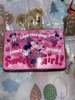 【チョコレート缶】ディズニー パルパルーザ ミニーのファンダーランド