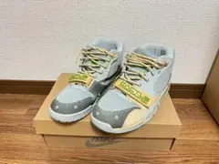 Item thumbnail for item 89fdfcaa-1dcd-4dd6-af13-a9dcceef6b36