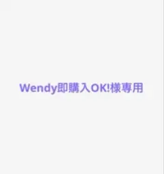 Wendy即購入OK!様専用