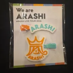 We are ARASHI 2026 嵐 グッズ ヘアクリップ - メルカリ