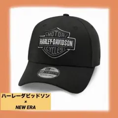 ニューエラ39thirty