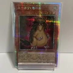 ユーカリモール プリズマ