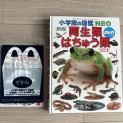 小学館の図鑑　Neo 両生類・はちゅう類　新版　DVD付き