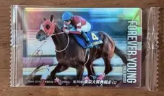 2026年最新】坂井瑠星 カードの人気アイテム - メルカリ