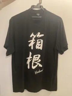 Item thumbnail for item 5e8d1f66-240b-4306-9c46-7be4277e9e25