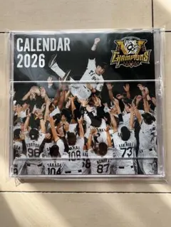 Item thumbnail for item 914e3d97-3218-4547-a3c0-f0bdd1d75008