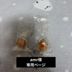 専用ページ