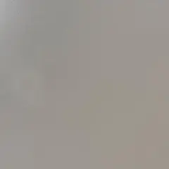 のん様