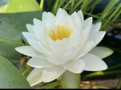 がー❤プロフご覧下さい❤様 リクエスト 2点 まとめ商品