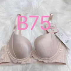 トリンプ 天使のブラ(R) スリムライン502 ブラジャー ベージュ B75