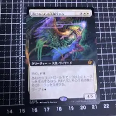 喜びあふれる太陽生まれ ボーダーレス