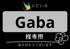Gaba様専用