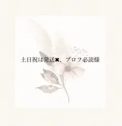 〖土日祝は発送✖︎、プロフ必読様〗母子手帳カバー