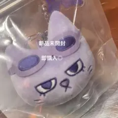 BOYNEXTDOOR BBNEXDO ボネクド　プネクド キーリング　テサン