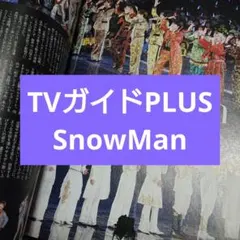 【匿名配送】SnowMan TVガイドPLUS 切り抜き