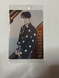 セブチ SEVENTEEN ウォヌ ウエハース特典