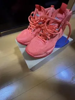 ASICS ノヴァサージ3 （2回ほど使用）インソールは未使用