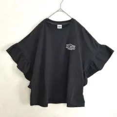 Item thumbnail for item 2d4811c2-860f-470f-ba51-99c0c6f78d39