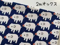 2m　ブーブーピッグ　ブタ　オックス　生地　コットン　ネイビー　373