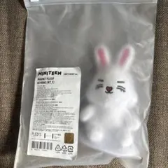 2025年最新】ミニティーン エスクプスの人気アイテム - メルカリ