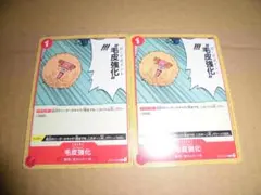 カードゲーム ワンピース ガードポイント毛皮強化　２枚 K