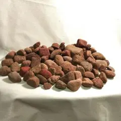 軽石漂着物赤茶色ぽいもののサムネイル