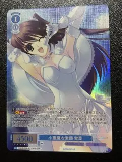 ヴァイスシュヴァルツロゼ AQUAPLUS 小悪魔な素顔 雪菜 OFR - メルカリ