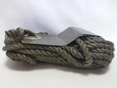 実物