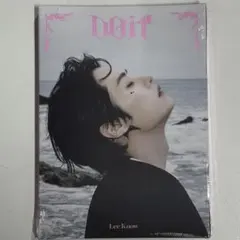 未開封 straykids DO IT accordion リノ