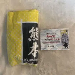 Item thumbnail for item b368c6a8-65ad-4a4e-8985-add96cd8f5af