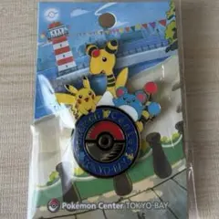 2025年最新】ポケモンセンタートウキョーベイ ロゴピンズの人気