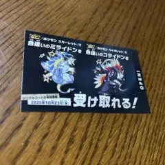 ポケモン　色違い　ミライドン　コライドン　1枚