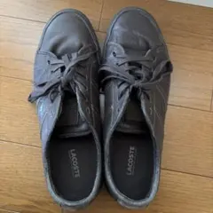 LACOSTE ダークブラウン レザースニーカー