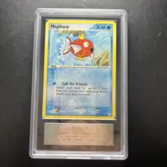 VSS鑑定 グレード10 コイキング ポケモンGO Magikarp - メルカリ