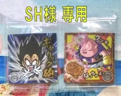 【専用出品】ドラゴンボール 超戦士シールウエハース超　天下一の伝説　2枚