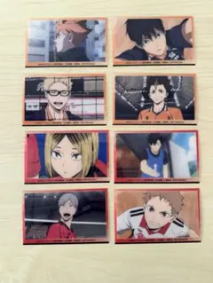 【未使用】ハイキュー!!ゴミ捨て場の決戦劇場版ディスク購入特典カード8枚セット