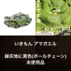 いきもん ネイチャーテクニカラー アマガエル ガチャ 緑灰地に黒色