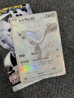 れいとさん専用