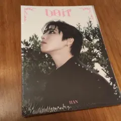 do it アコーディオン盤 新品未開封 straykids ハン ジソン