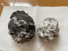 オールドストック・早い者勝ち】メキシコ産 鍾乳石状カルサイト 原石