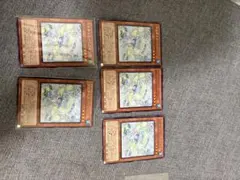 マルチャミー・プルリア 5枚セット 遊戯王OCG