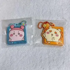 1様専用 ぷっくりラバマスグミ4