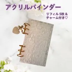 【みーちゃん様 専用】アクリルバインダー saving A6 韓国 家計管理