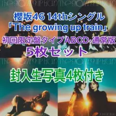 櫻坂46 14thシングル『The growing up train』5枚セット