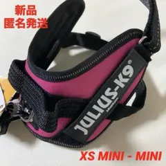 JULIUS-K9 ユリウスケーナイン★XS/MINI-MINI★ピンクのサムネイル