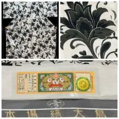 夏着物 紗紬 夏大島 壽紬工房 単衣 小紋 居敷当て証紙 未使用に近いイ7117のサムネイル